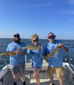 Reel in Lake Erie's Walleye Wonders